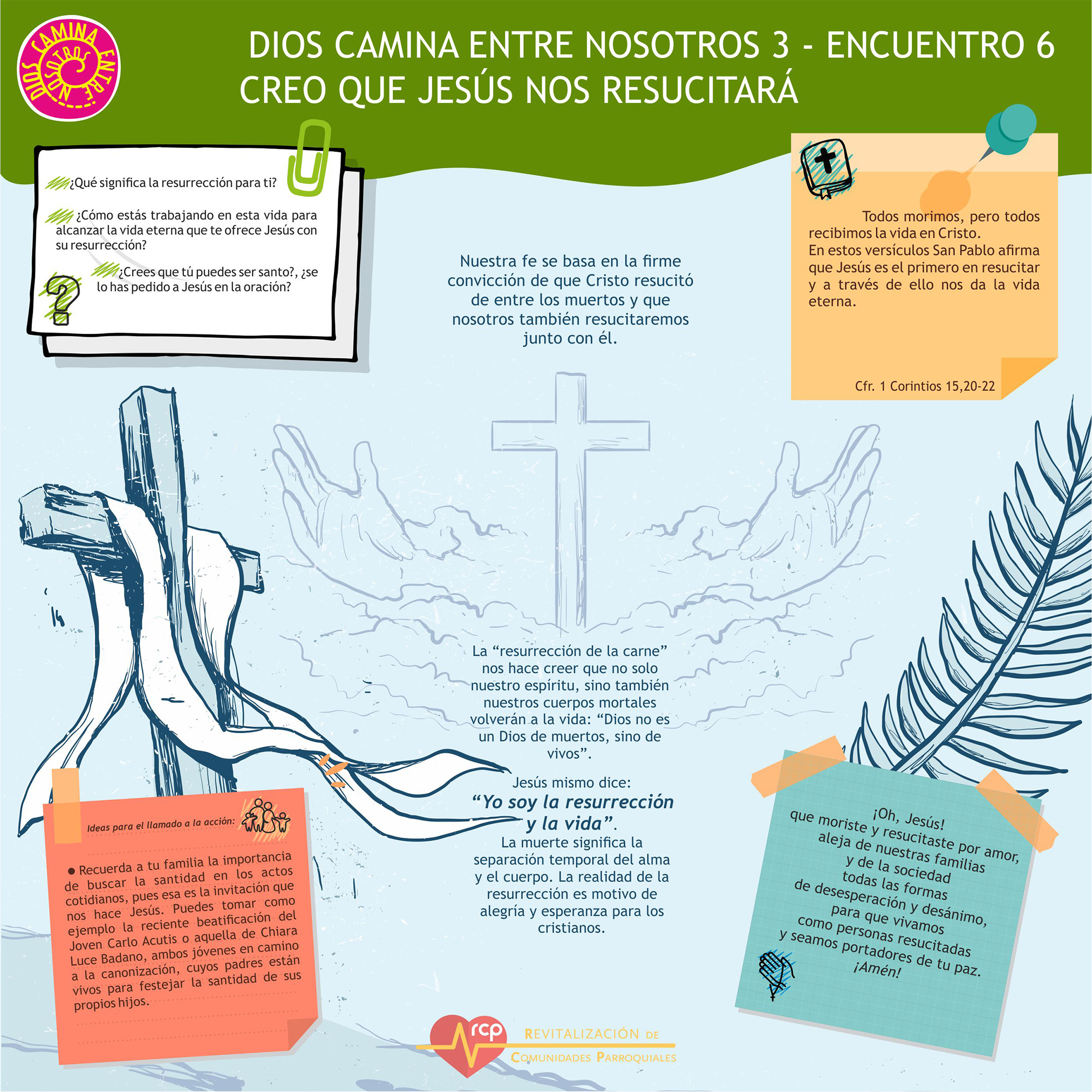 Encuentro 6